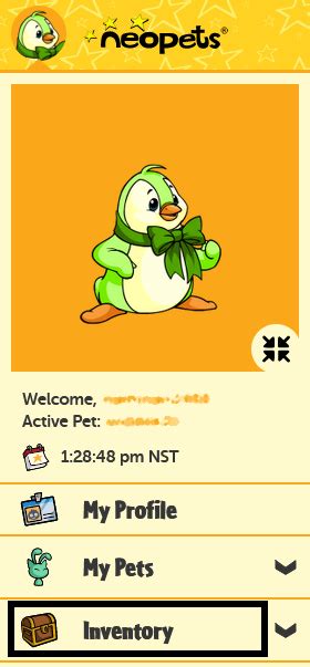 neopets hotel|Neopets for Absolute Beginners .